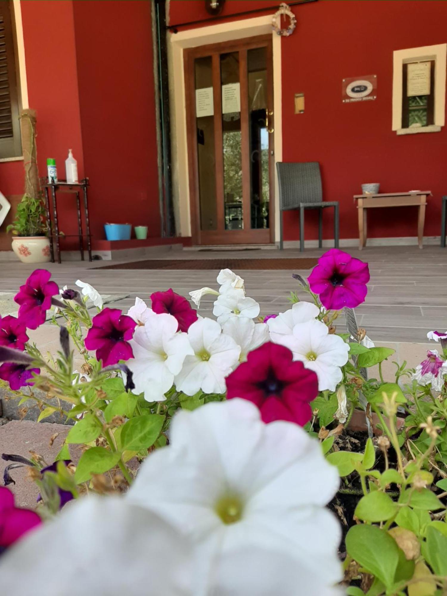 B&B Su Frascu Segau Teulada Luaran gambar